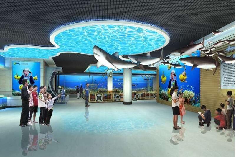 數(shù)字展廳互動體驗(yàn)